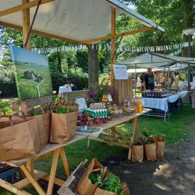 Voedseltuin Makkum vierkant